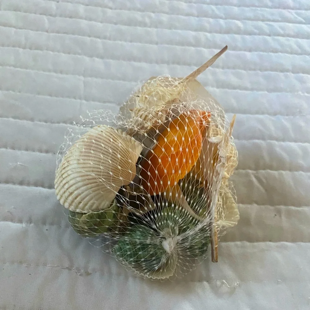 AQUARIUM DECOR NATURAL SHELL 3.85 oz Fish